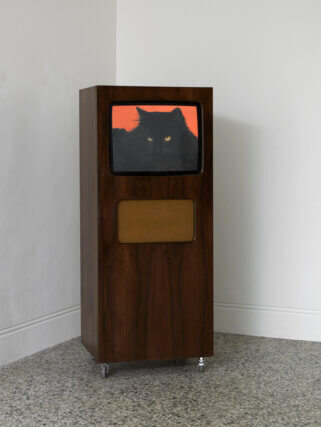 Installation view of Serena Korda 'Aping the Beast' at Camden Art Centre, 2013. Photo: Andy Keate © Camden Arts Centre