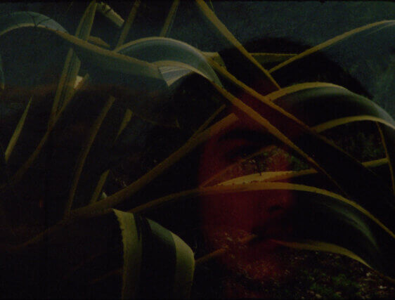 Public Knowledge: Landscape Plus | Laida Lertxundi