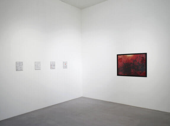 David Askevold: The Disorientation Scientist, Installation view at Camden Art Centre 2011, Photo © Andy Keate 