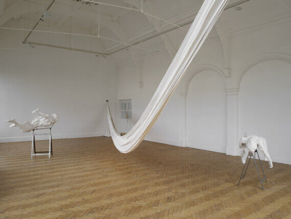 Installation view of Christine Borland: Cast From Nature, 2011 at Camden Art Centre. Photo: Andy Keate