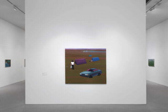 Installation view of Liz Arnold, Camden Art Centre, 2009. 