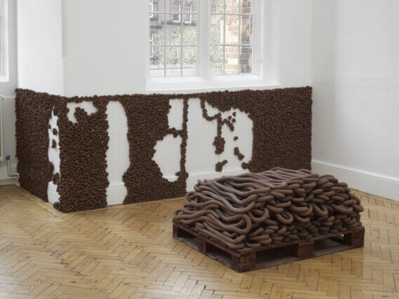 Installation view, Anna Maria Maiolino at Camden Arts Centre. Photo credit Andy Keate