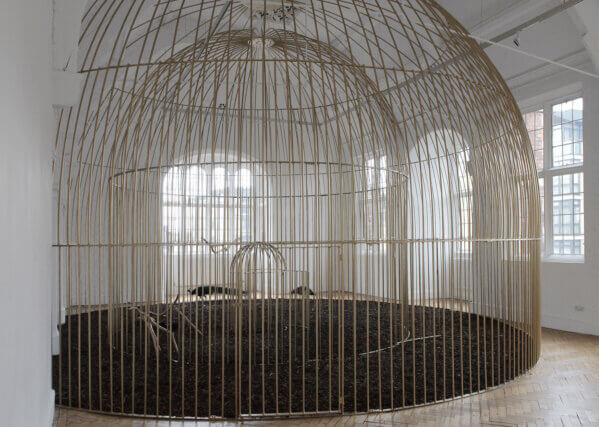 Mircea Cantor, instalation view of The Need for Uncertainty, Camden Art Centre, 2009. 