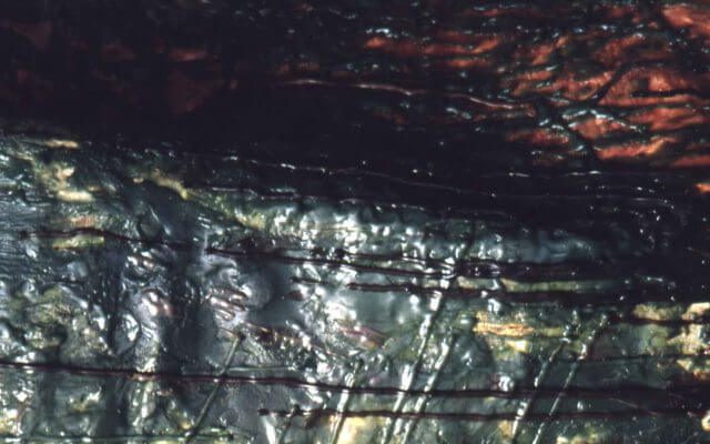 Stephen Nelson, Tepuis, Camden Art Centre, 1996 
