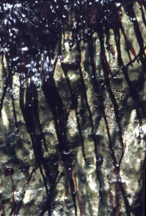Stephen Nelson, Tepuis, Camden Art Centre, 1996 