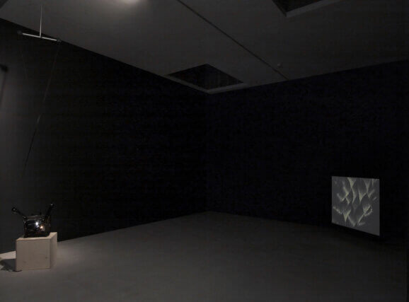Installation view of Kerry Tribe: Dead Star Light at Camden Art Centre, 2011. Photo: Andy Keate