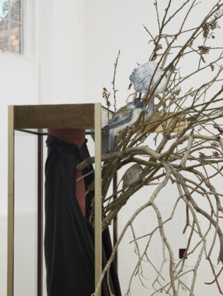 Installation view of Mathilde Rosier: Necklace of Fake Teeth at Camden Art Centre, 2011. Photo: Andy Keate