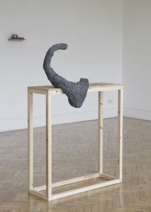 Installation view of Katie Cuddon: Spanish Lobe at Camden Art Centre, 2011. Photo: Andy Keate