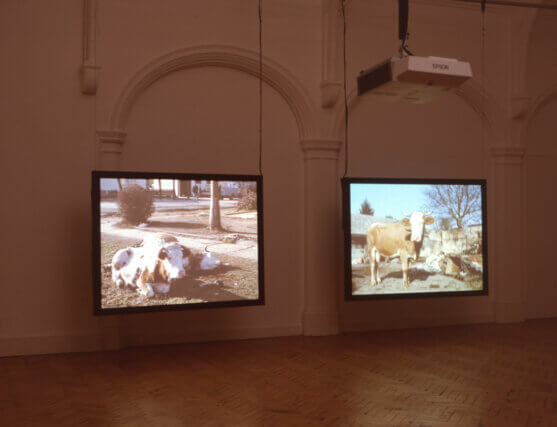 Installation view of Shifting Shifting, Aernout Mik, Camden Art Centre, 2007 