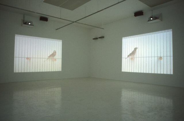 Marie Jose Burki