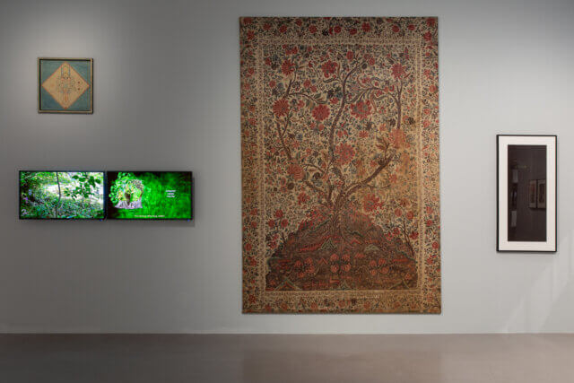 Installation view of 'The Botanical Mind: Art, Mysticism and The Cosmic Tree' at Camden Art Centre, 2020. Photo: Rob Harris