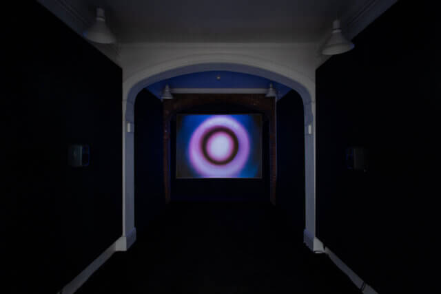 Installation view of 'The Botanical Mind: Art, Mysticism and The Cosmic Tree' at Camden Art Centre, 2020. Photo: Rob Harris
