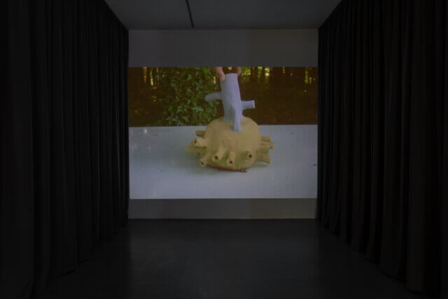 Installation view of 'The Botanical Mind: Art, Mysticism and The Cosmic Tree' at Camden Art Centre, 2020. Photo: Rob Harris