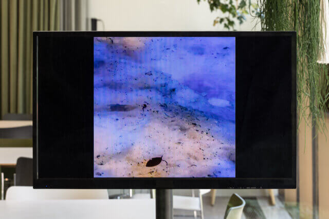 Installation view of Olga Balema, 'Computer,' at Camden Art Centre, 2021. Image: Rob Harris