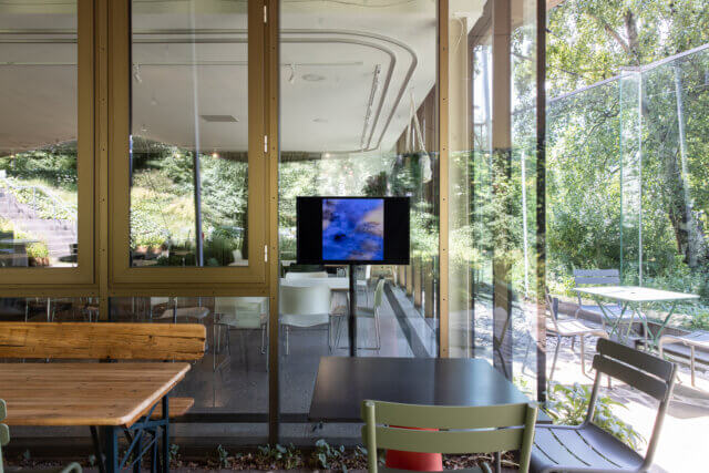 Installation view of Olga Balema, 'Computer,' at Camden Art Centre, 2021. Image: Rob Harris