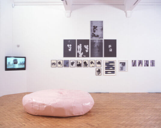 Strange Events Permit Themselves the Luxury of Occuring, Camden Art Centre, 2007