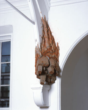 Strange Events Permit Themselves the Luxury of Occuring, Camden Art Centre, 2007