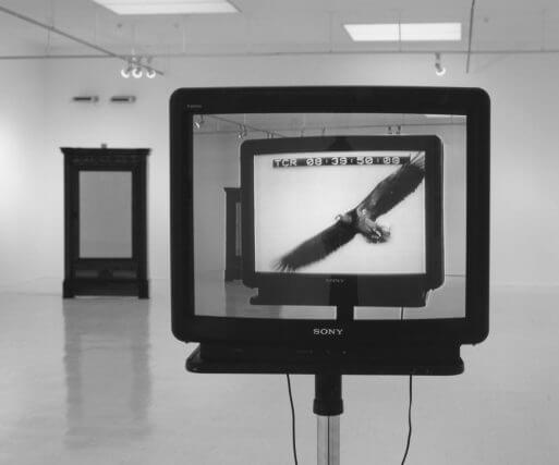 Mat Collishaw