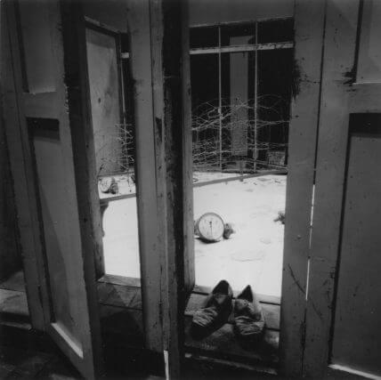 Dorothy Cross, Camden Art Centre, 1993