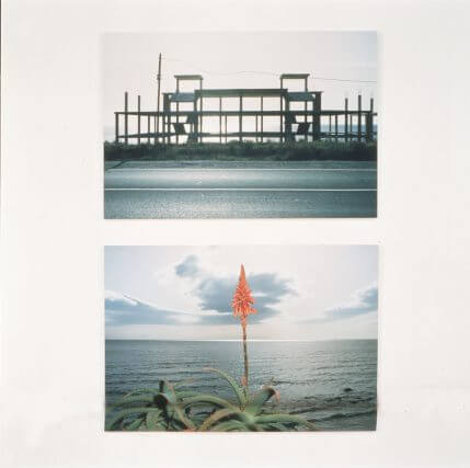 David Spero, BT New Contemporaries, Camden Art Centre, 1994