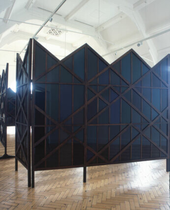 Installation view of David Thorpe: The Defeated Life Restored at Camden Art Centre, 2007
