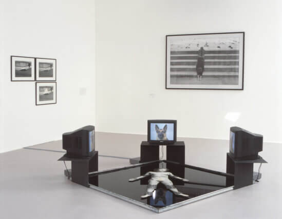 Installation view, VALIE EXPORT, Camden Art Centre, 2004