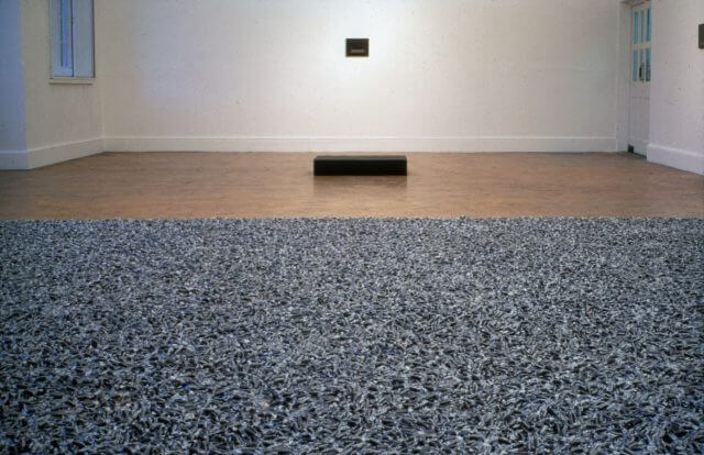 Symptoms of Interference, Conditions of Possibility