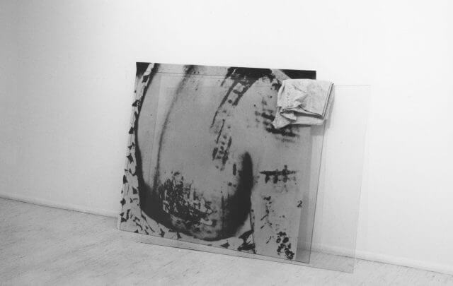 Andrea Fisher, Camden Art Centre, 1993
