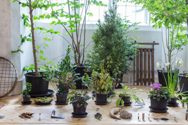 Ruth Ewan: Back to the Fields at Camden Art Centre, 2015