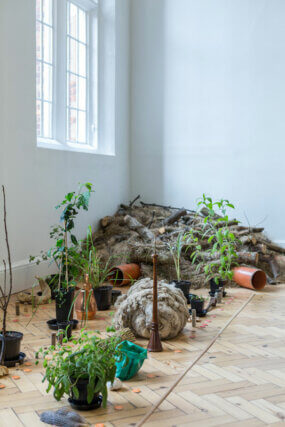 Ruth Ewan: Back to the Fields at Camden Art Centre, 2015