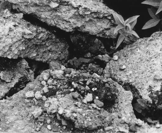 Andrew Kearney, installation view of The Policing of Pleasure, Camden Art Centre, 1995 