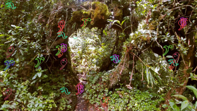The Botanical Mind Online