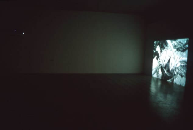 Installation view, Lois Weinberger, Camden Art Centre Garden, 2000
