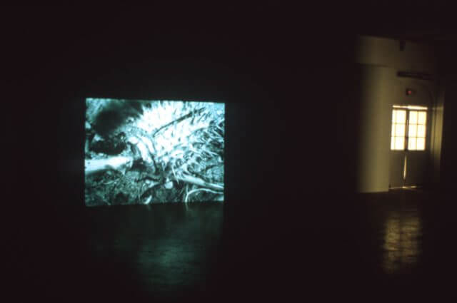 Installation view, Lois Weinberger, Camden Art Centre Garden, 2000