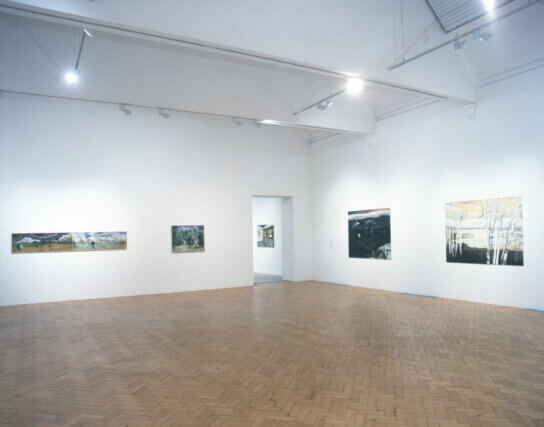 Mamma Andersson, installation view, Camden Art Centre, 2007