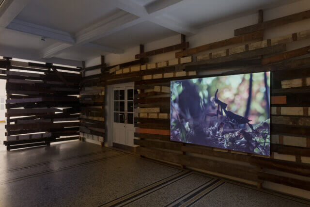 Installation view of Joachim Koester In the Face of Overwhelming Forces, Camden Art Centre, 2017. Photo: Mark Blower