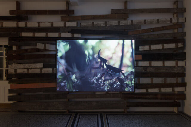 Installation view of Joachim Koester In the Face of Overwhelming Forces, Camden Art Centre, 2017. Photo: Mark Blower