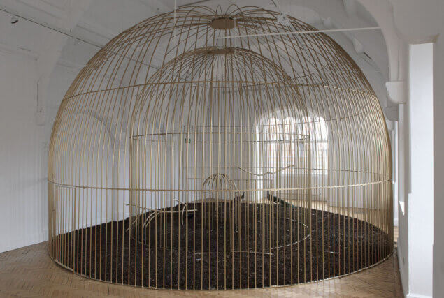 Mircea Cantor, instalation view of The Need for Uncertainty, Camden Art Centre, 2009. 