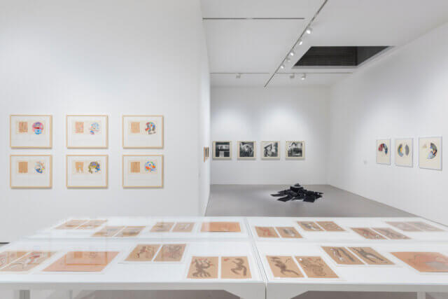 Installation view of Geta Brătescu, 'The Studio: A Tireless,' Ongoing Space at Camden Art Centre, 2017. Photo: Damian Griffiths