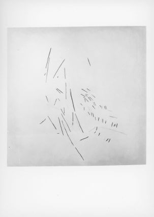 Avis Newman, Camden Art Centre, 1996