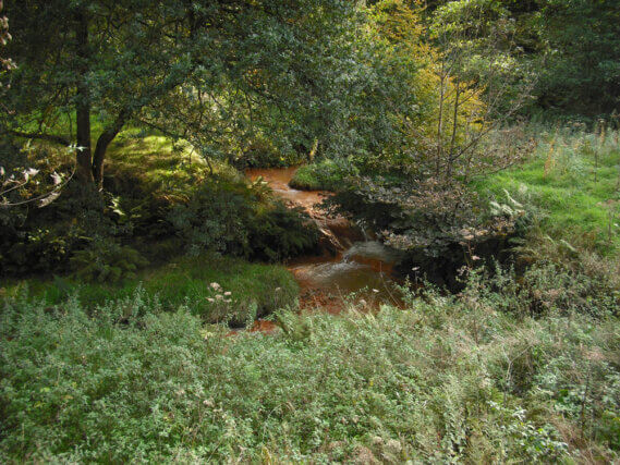 Visual Thinking: Turning Landscape into Colour
