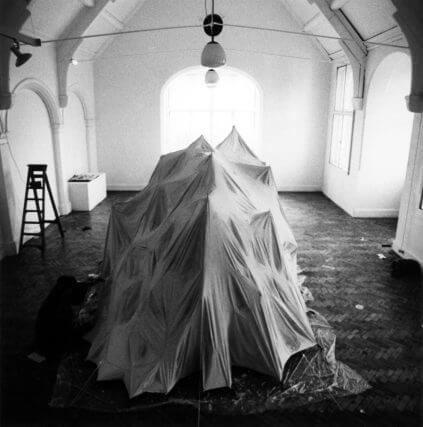 Ana Maria Pacheco, Camden Art Centre, 1991