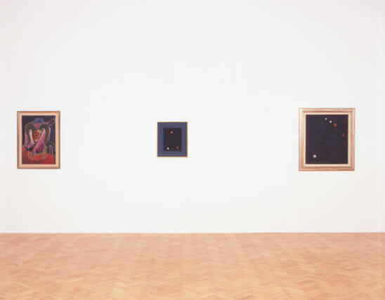 Installation view, Francis Picabia, Camden Art Centre, 2004