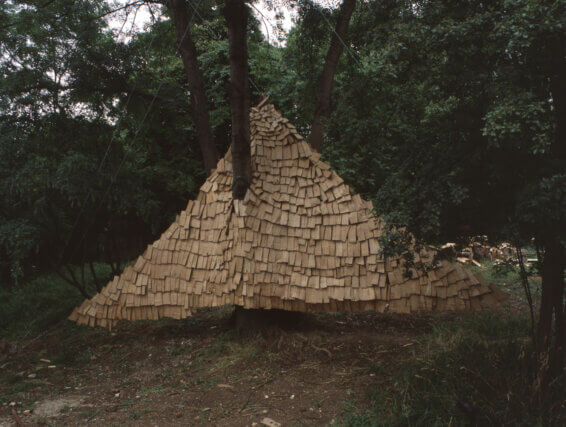 Ben Ravenscroft and Sam Basu, Installation view of Lovely Crinkle Crankle, Camden Art Centre, 2004