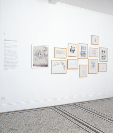 Installation view, Alexis Rockman, Camden Art Centre, 2004