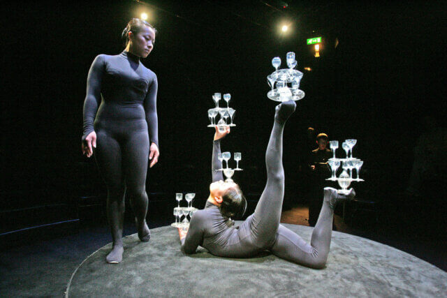 Rose English Ornamental Happiness 2006. Photo: Alastair Muir