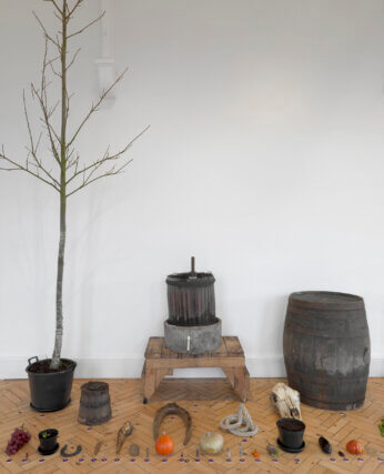 Ruth Ewan: Back to the Fields at Camden Art Centre, 2015 