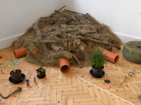Ruth Ewan: Back to the Fields at Camden Art Centre, 2015 
