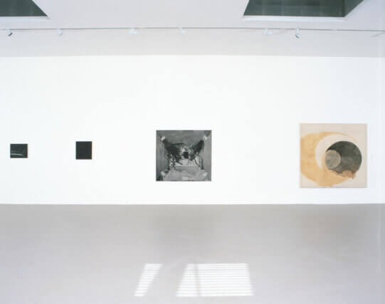 Installation view, Wilhelm Sasnal, Camden Art Centre, 2004