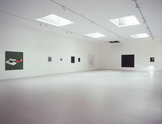 Installation view, Wilhelm Sasnal, Camden Art Centre, 2004